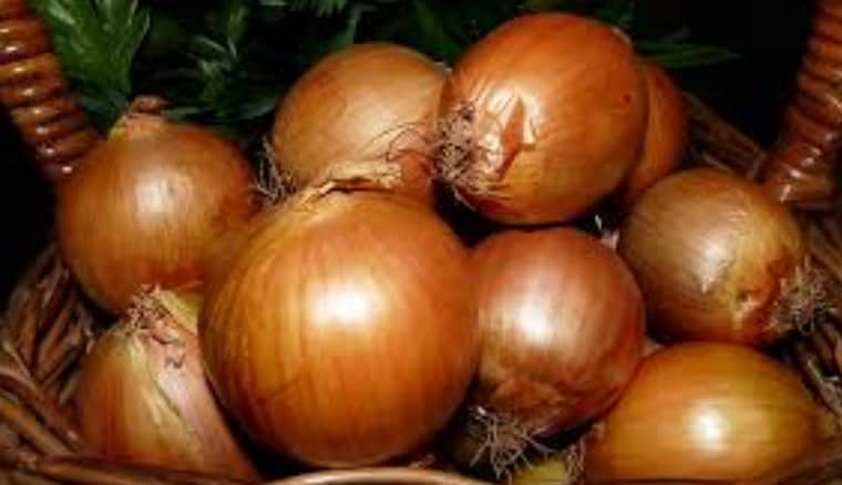 dental home remedies - onion